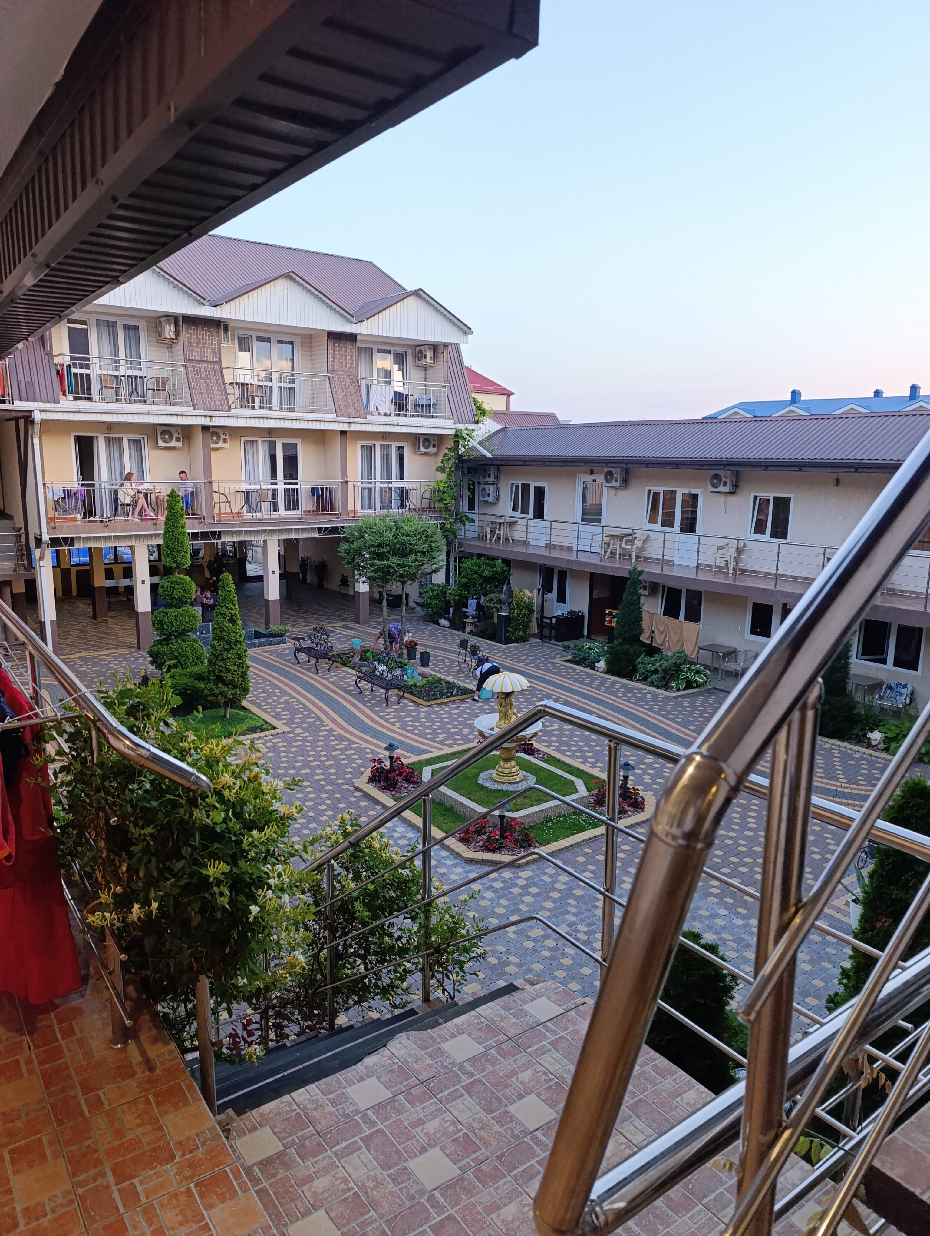 Фото Анютины Глазки