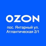 Ozon (posyolok Yantarny, Atlanticheskaya ulitsa, 2/1), point of delivery