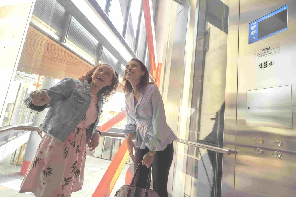 Lifts and equipment Buga Otis Elevator, Istanbul, photo