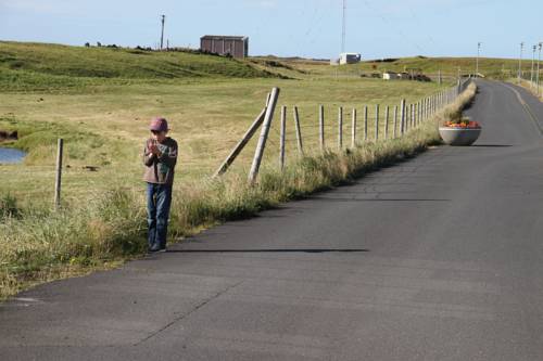 Фото Steinar Guesthouse