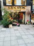 Peony Flower House (İstanbul, Şişli, Teşvikiye Mah., Şakayık Sok., 77A), floristeria