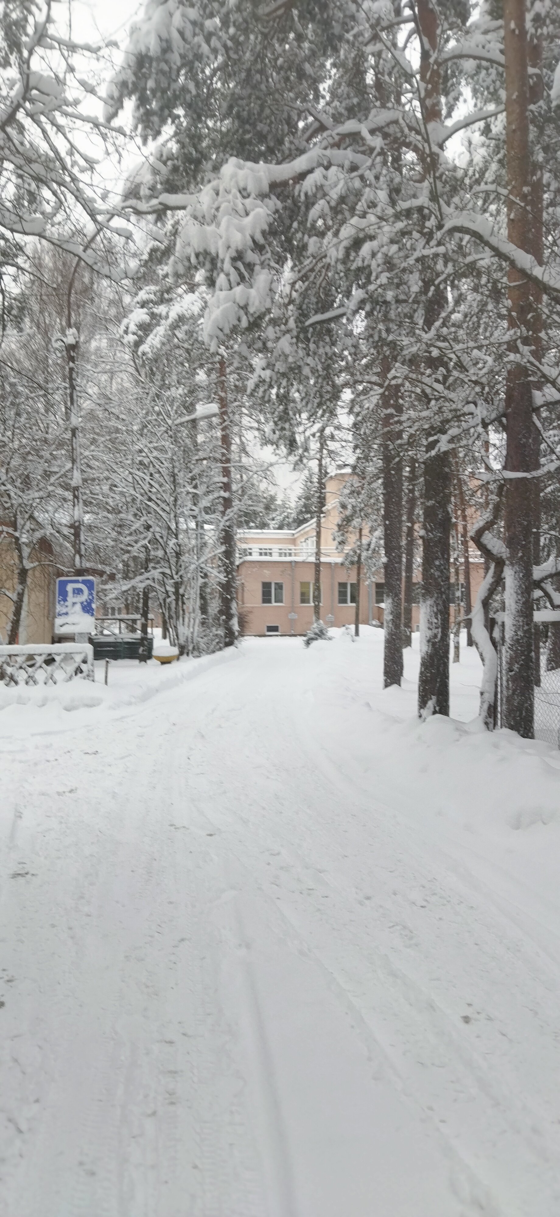 Фото Комарово