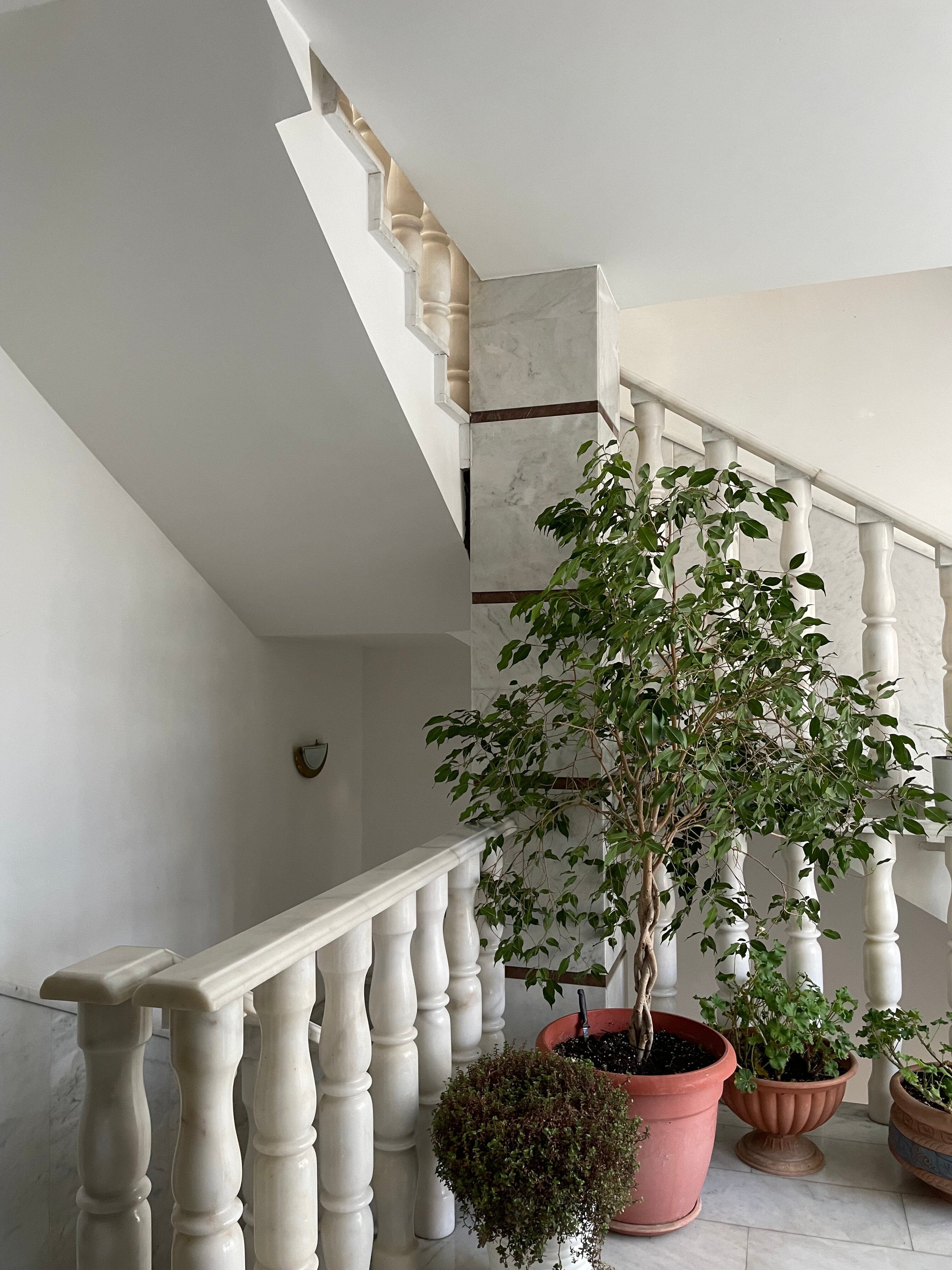 Фото Горгиппия