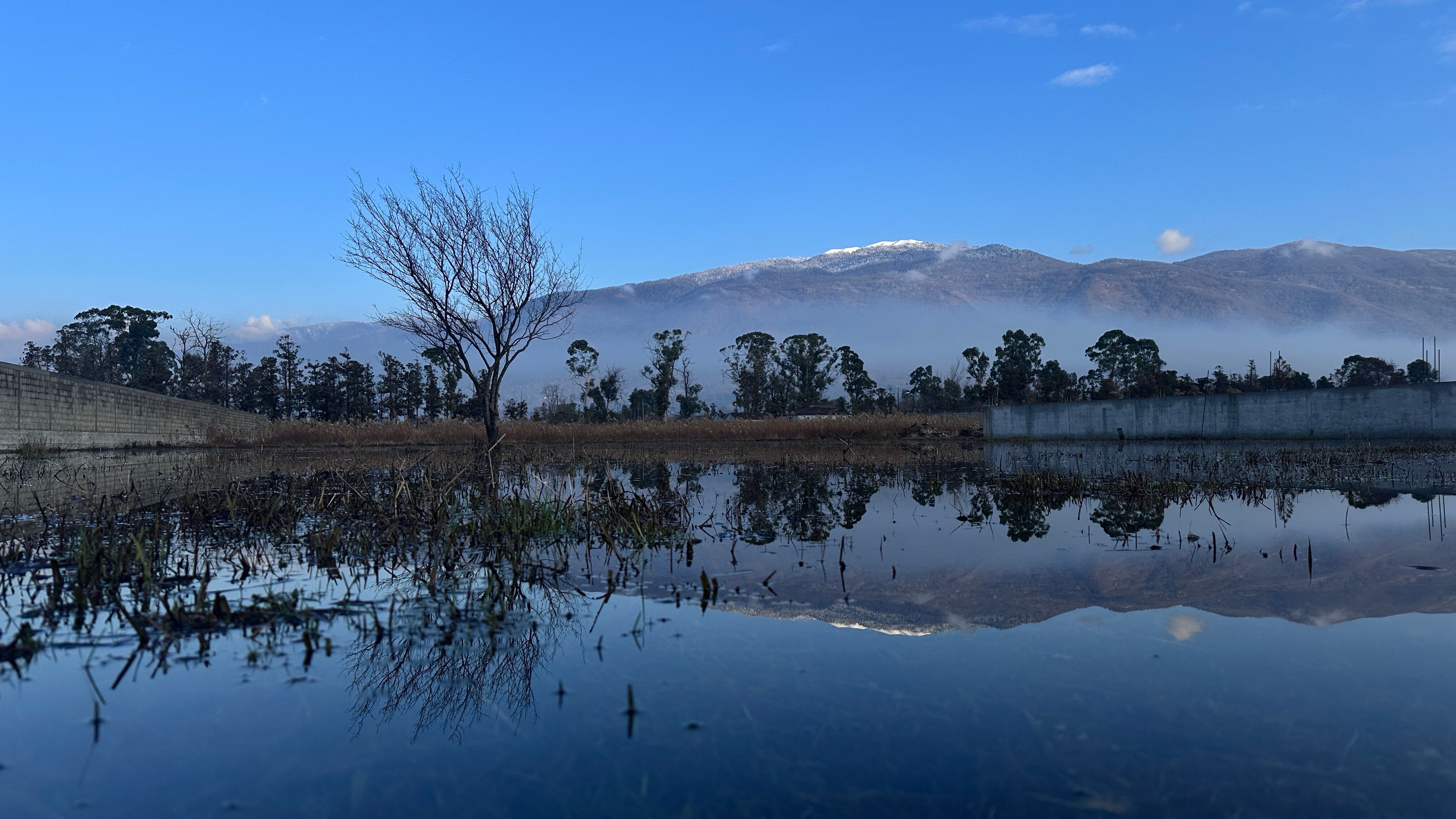 Фото Гестхаус Chilly