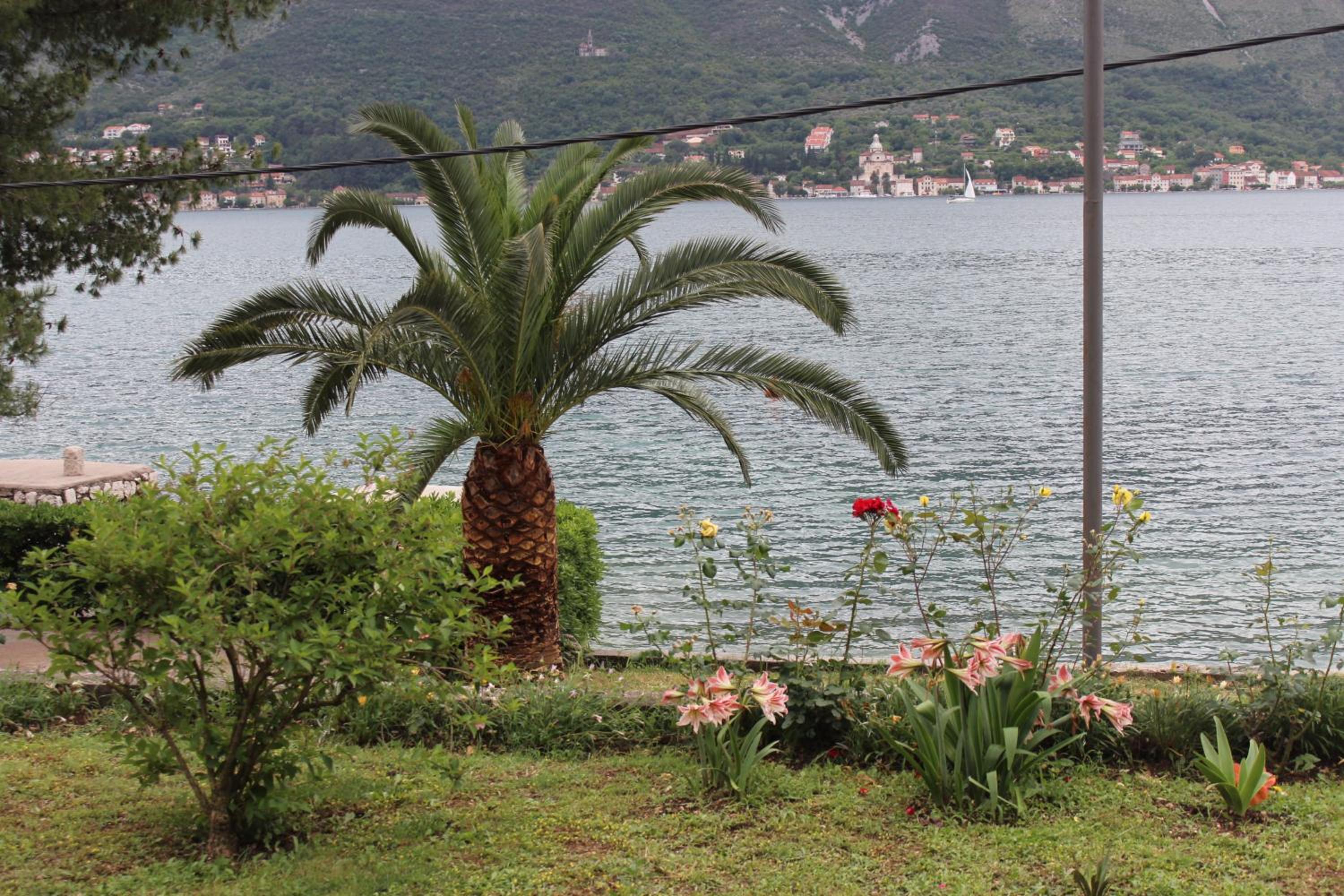 Фото Apartments Miramar