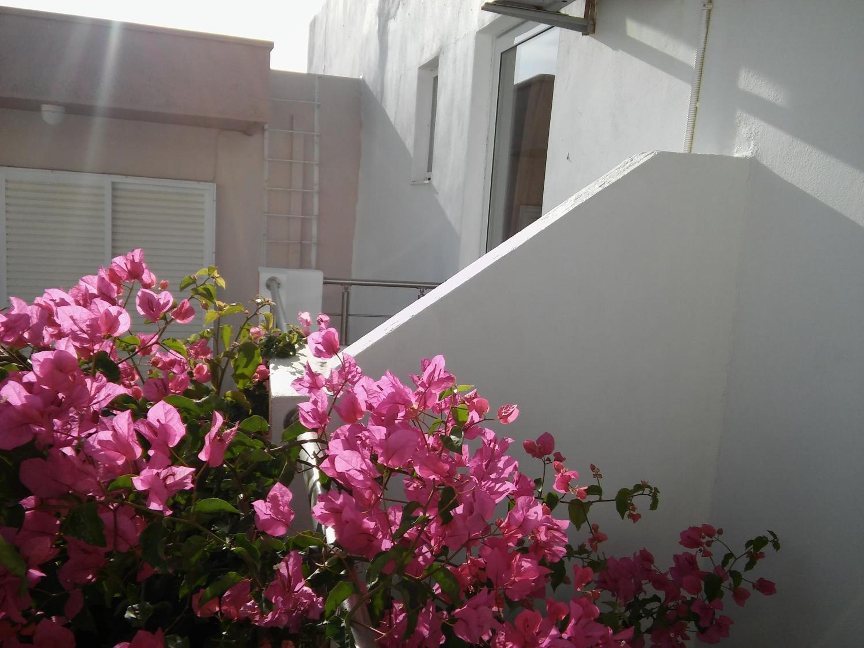 Фото Maria Studios and Apartments