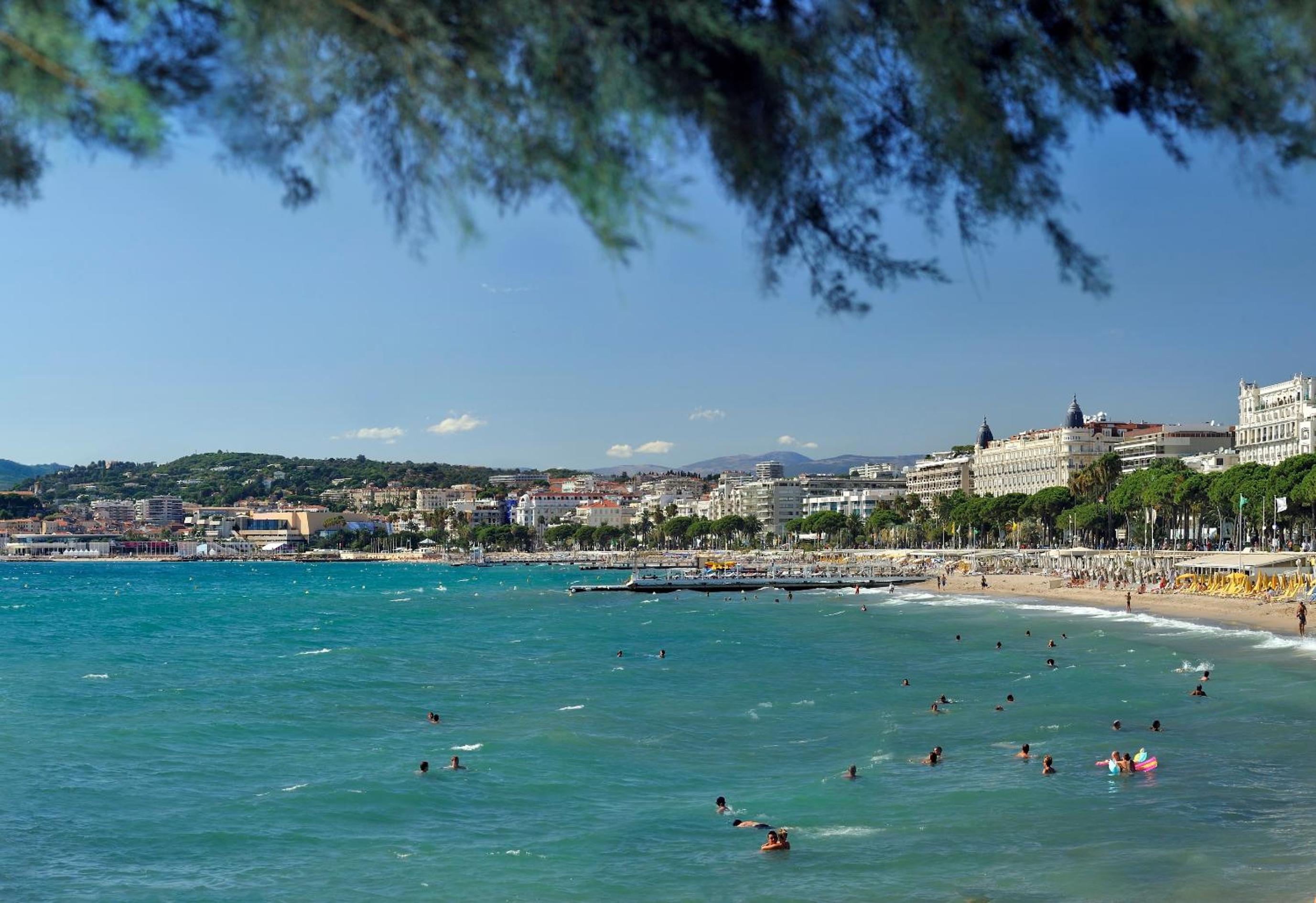 Фото Resideal Premium Cannes