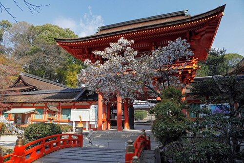 Гостиница Sotetsu Fresa Inn Kyoto Kiyomizu Gojo в Киото