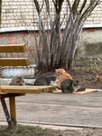 Восход (Kaluga Region, 29N-178), public transport stop