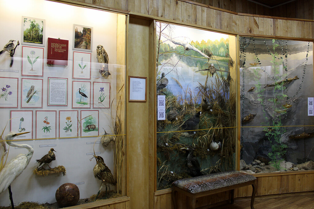 Museum Gantsevichsky Rayonny Krayevedchesky Muzey Uk, Gancevichi, photo