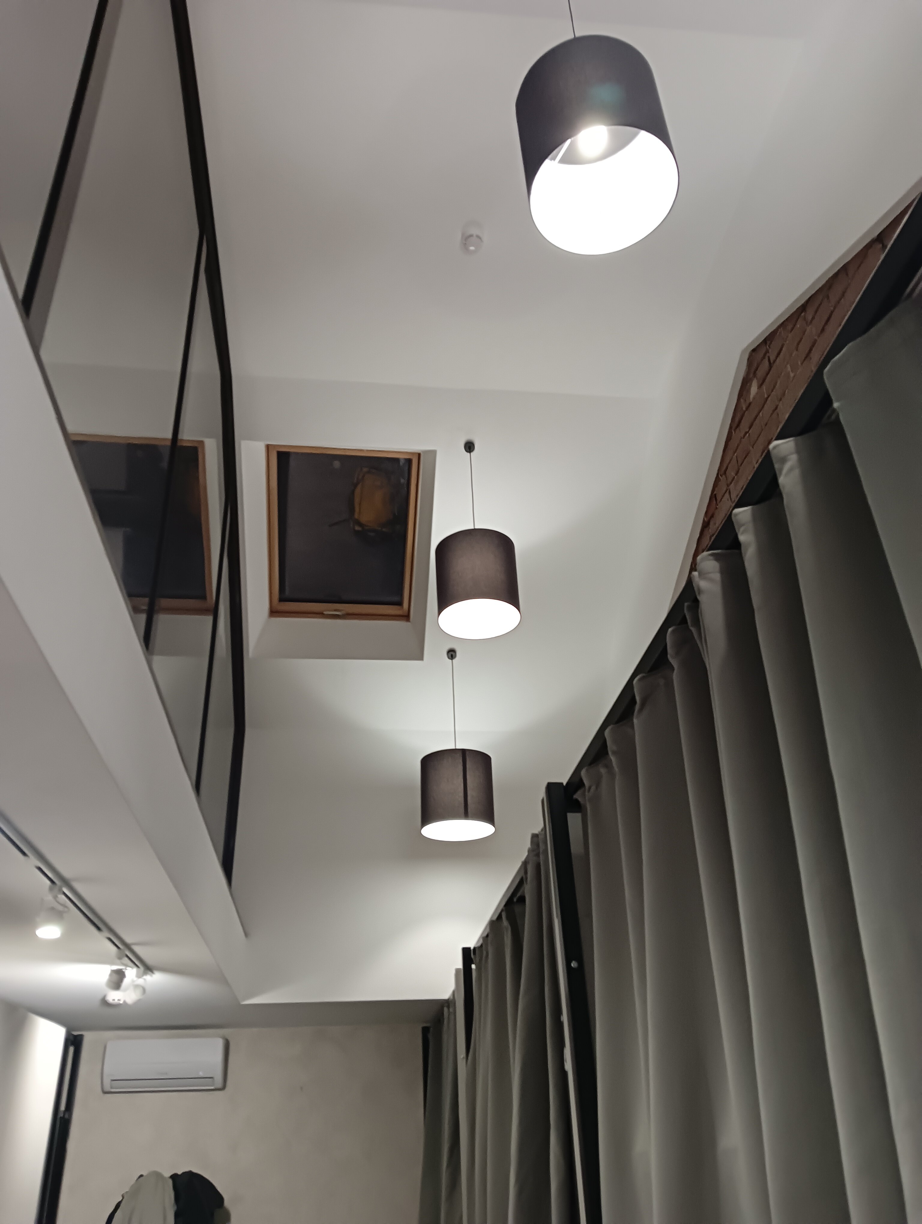 Фото Иркутский кедр