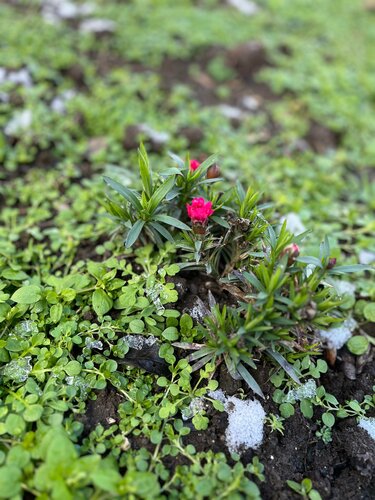 Гостевой дом Косон в Керчи