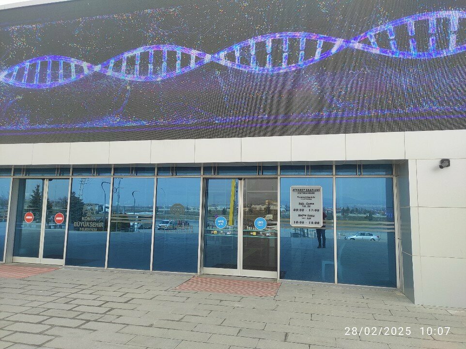 Toys and games Science Line Store, Konya, photo