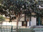 Derinsen Psychology Counseling Center (Istanbul, Bakirkoy District, Zuhuratbaba Neighborhood, Aydinlar Street, 27), centro psicológico