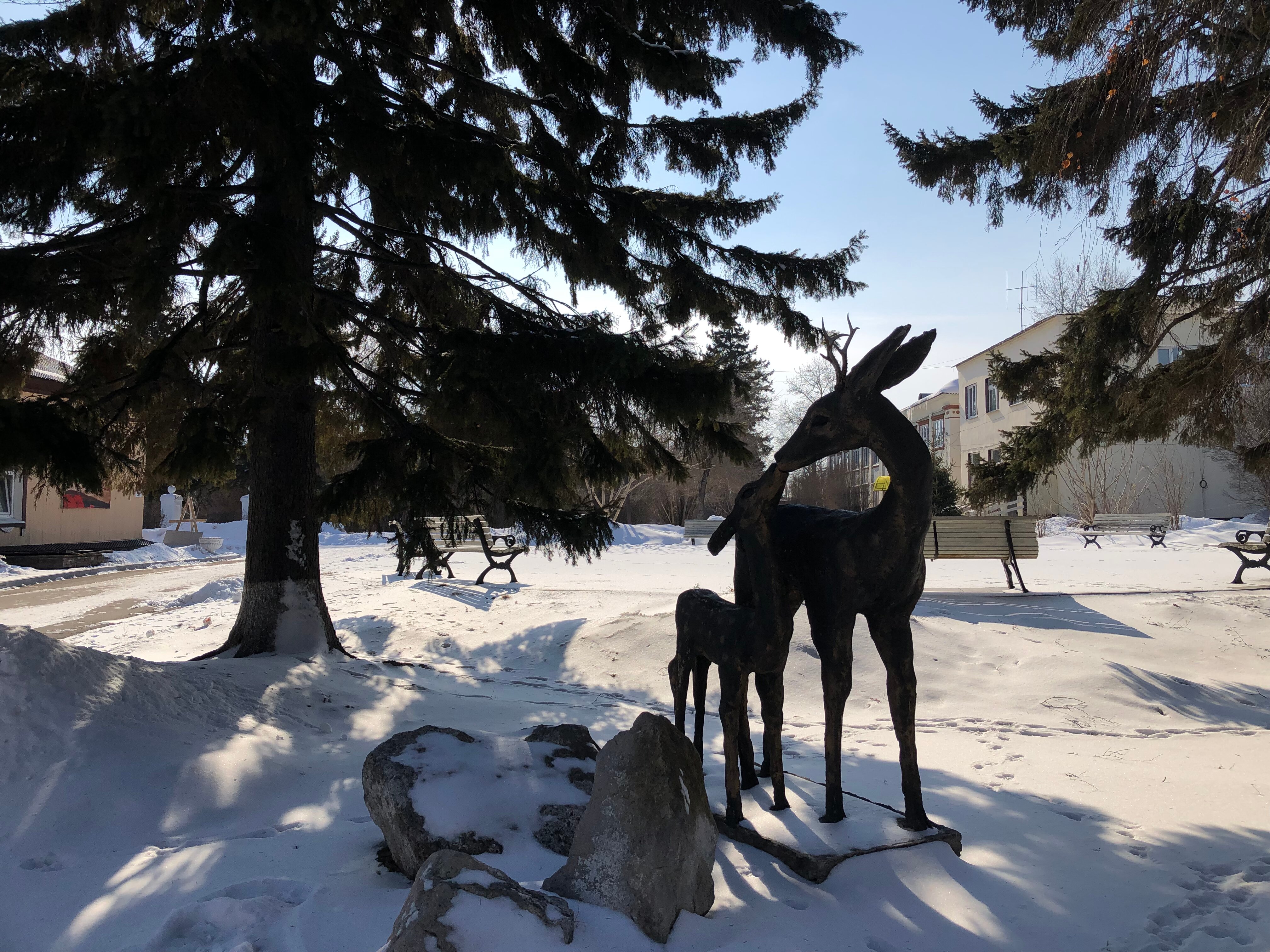 Фото Усолье