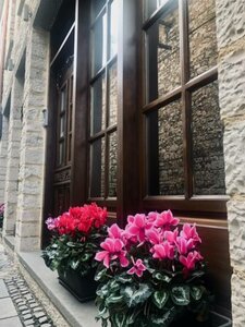 Гостиница Ali Pasha Hotel