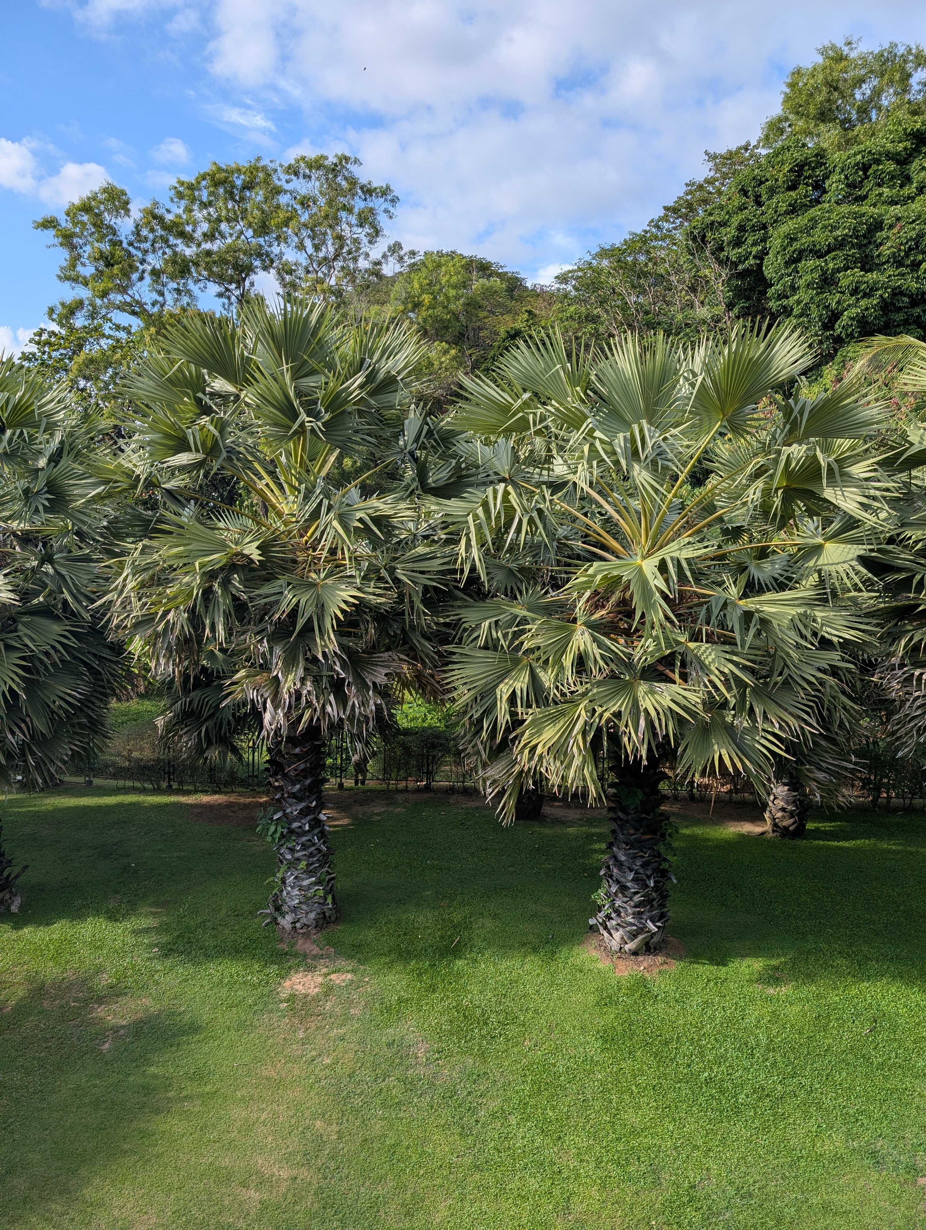 Фото Katathani Phuket Beach Resort