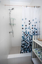 Фото Серый кот