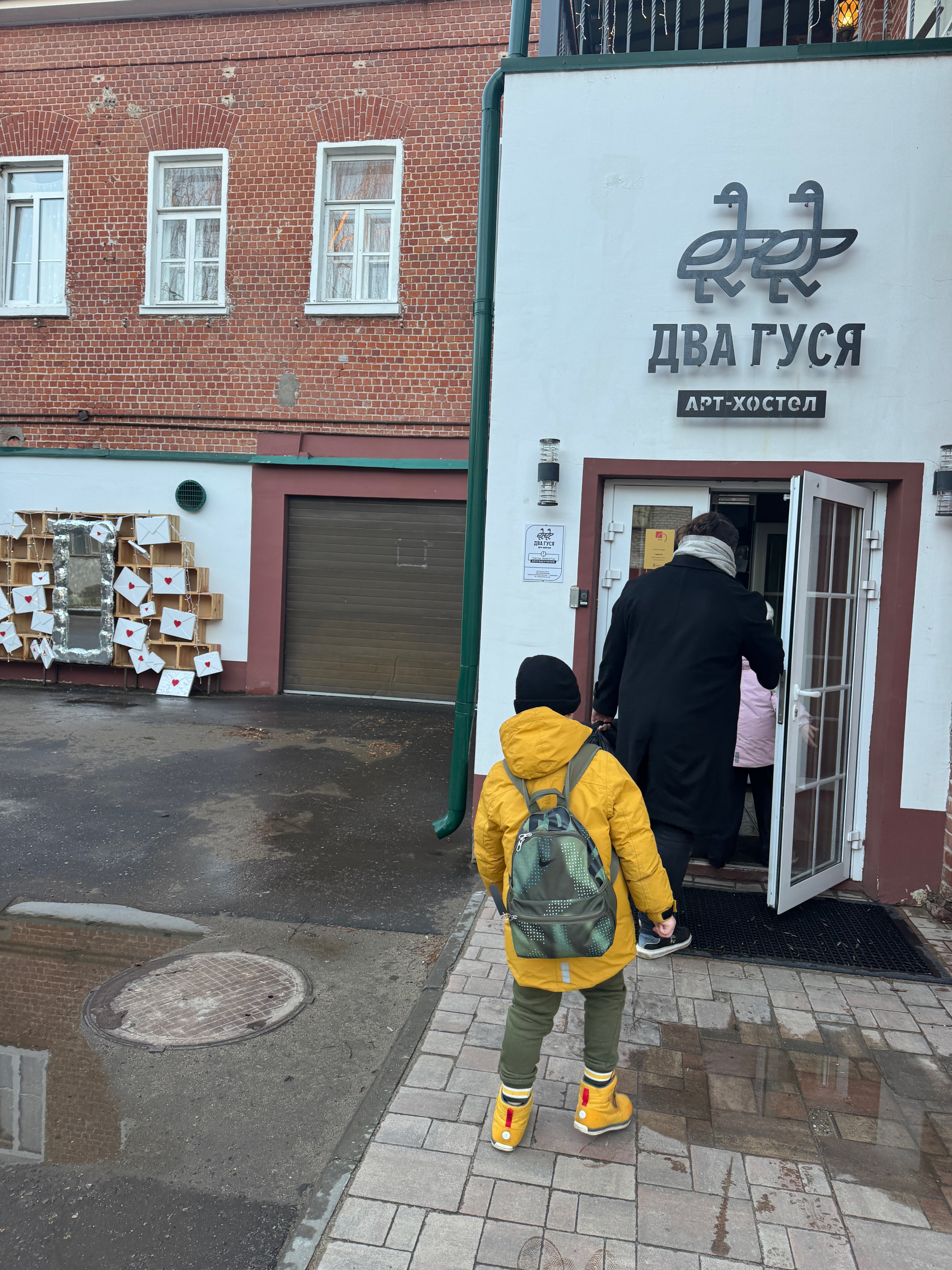 Фото Два гуся