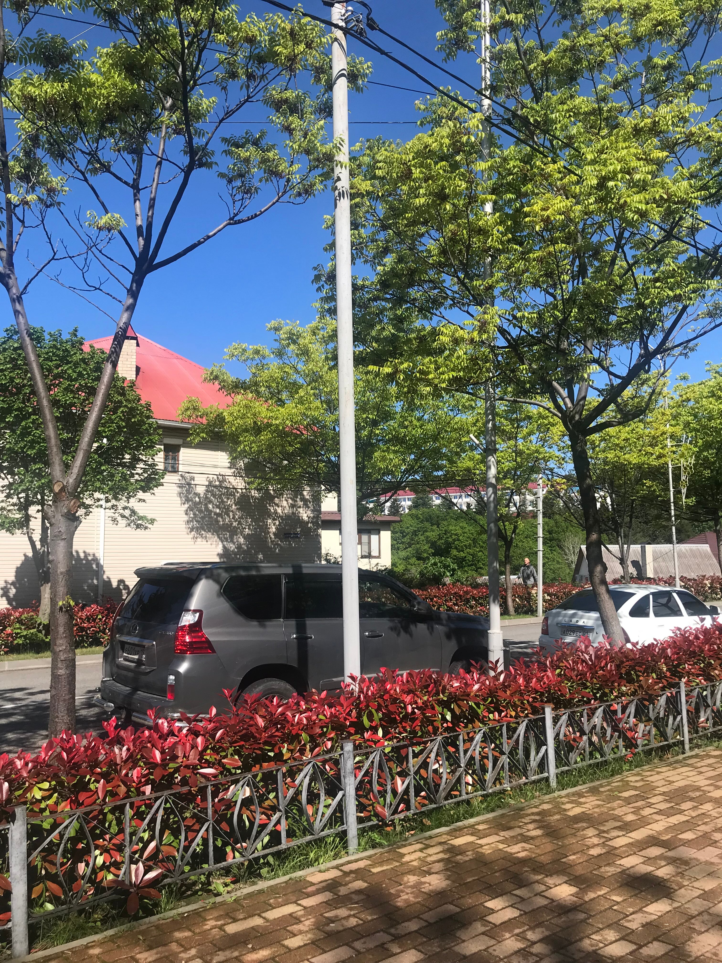 Фото Виктория