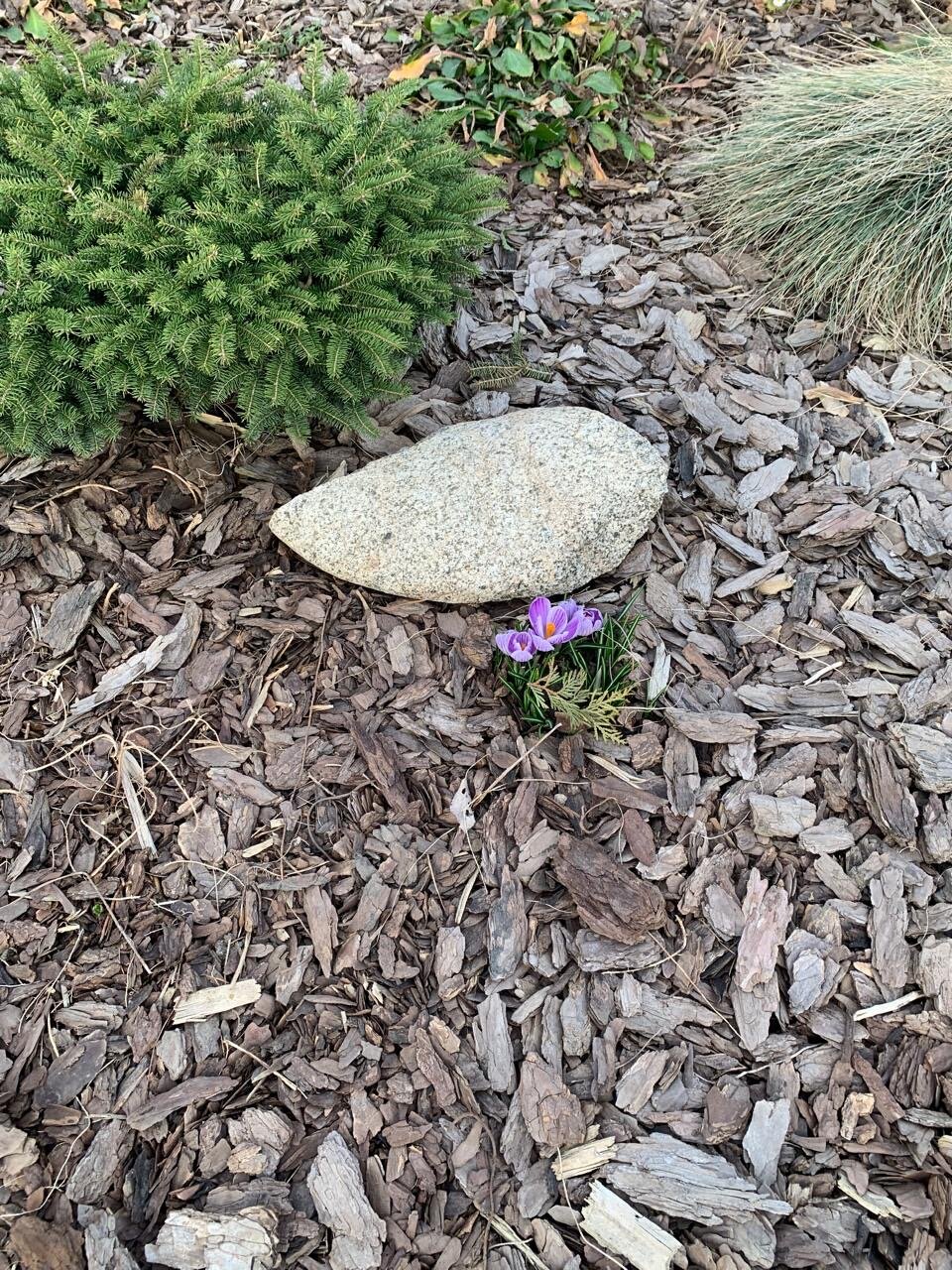 Фото Дача на юге