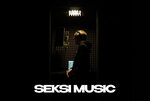 Seksi Music (Starokonyushenny Lane, 5/14), recording studio