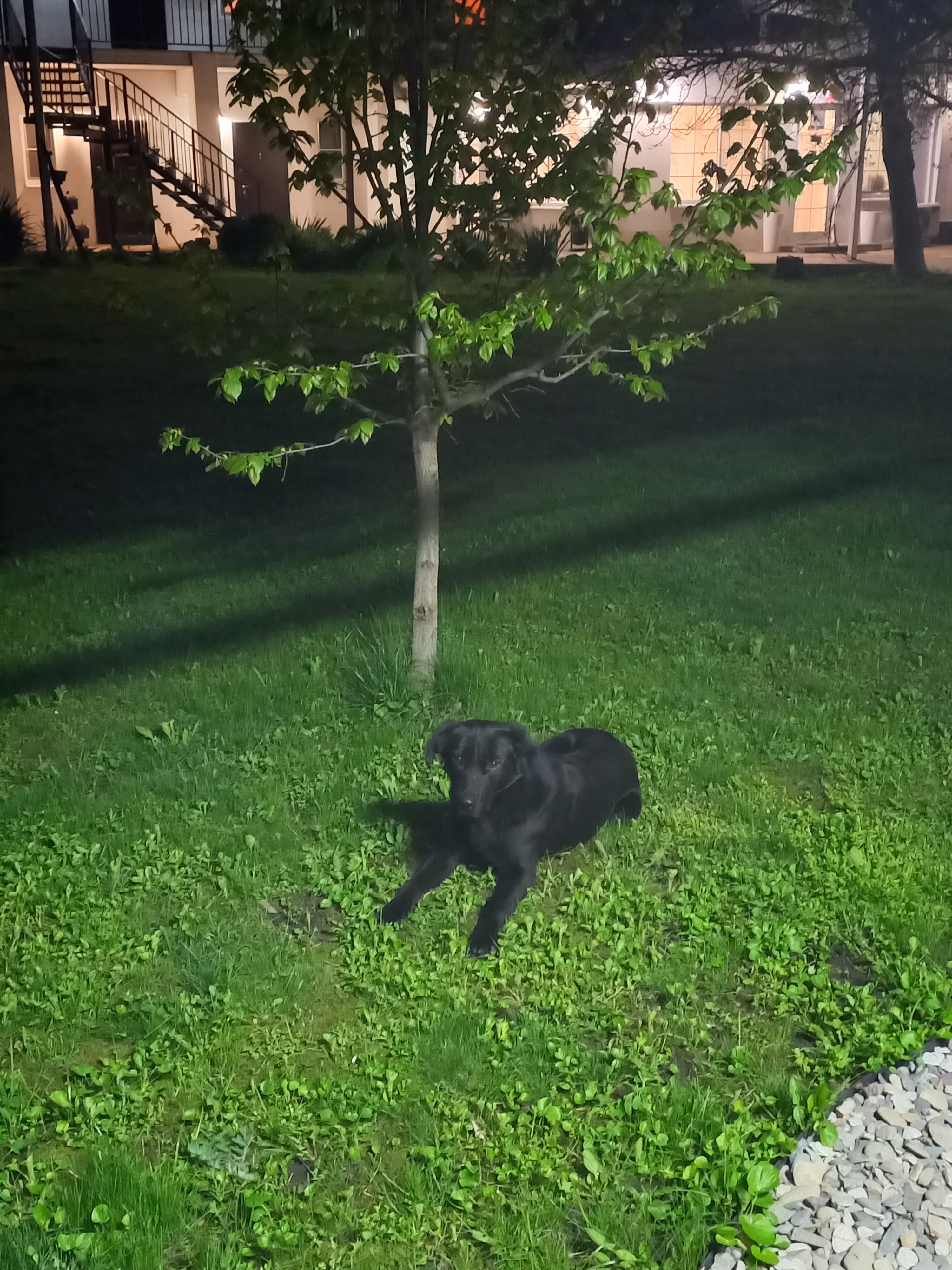 Фото АртОтель