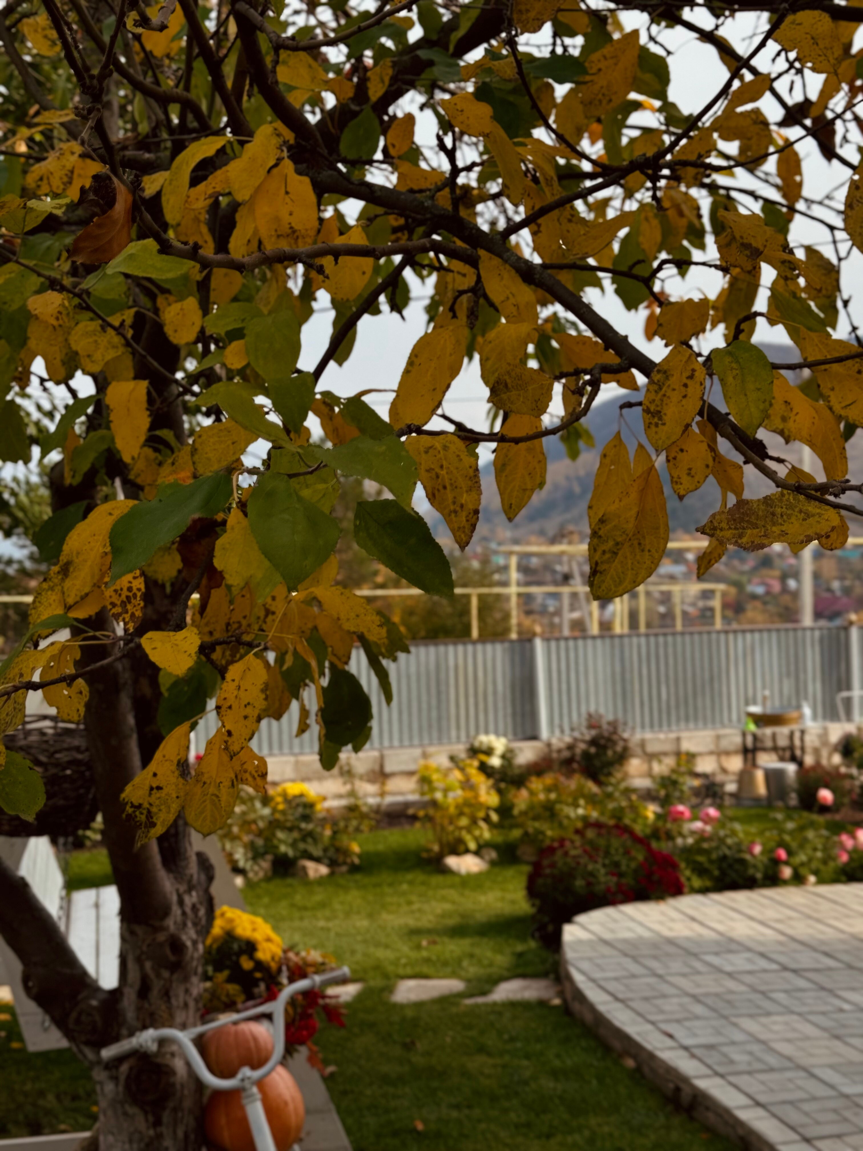 Фото Домик в горах