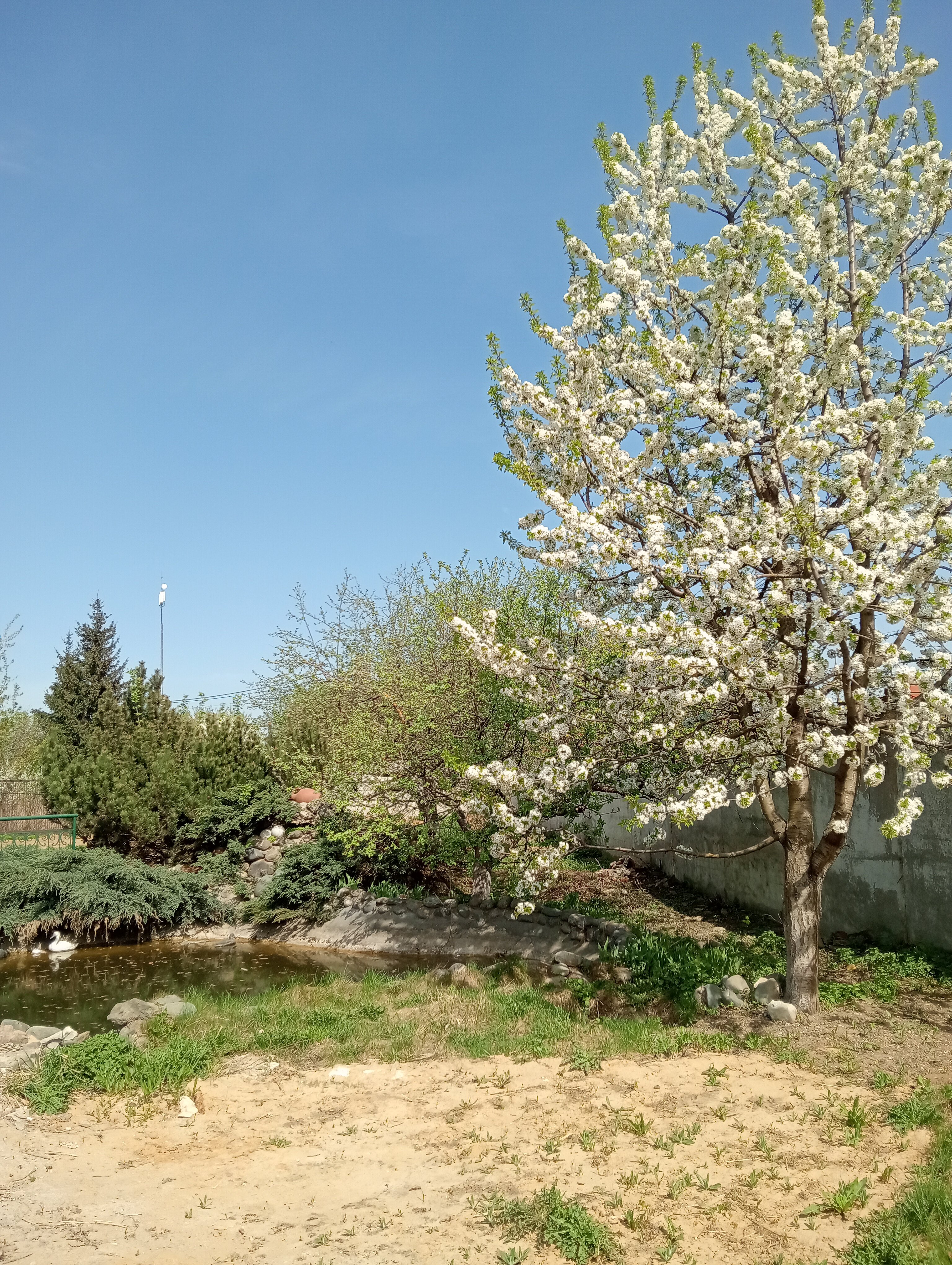 Фото Центральный