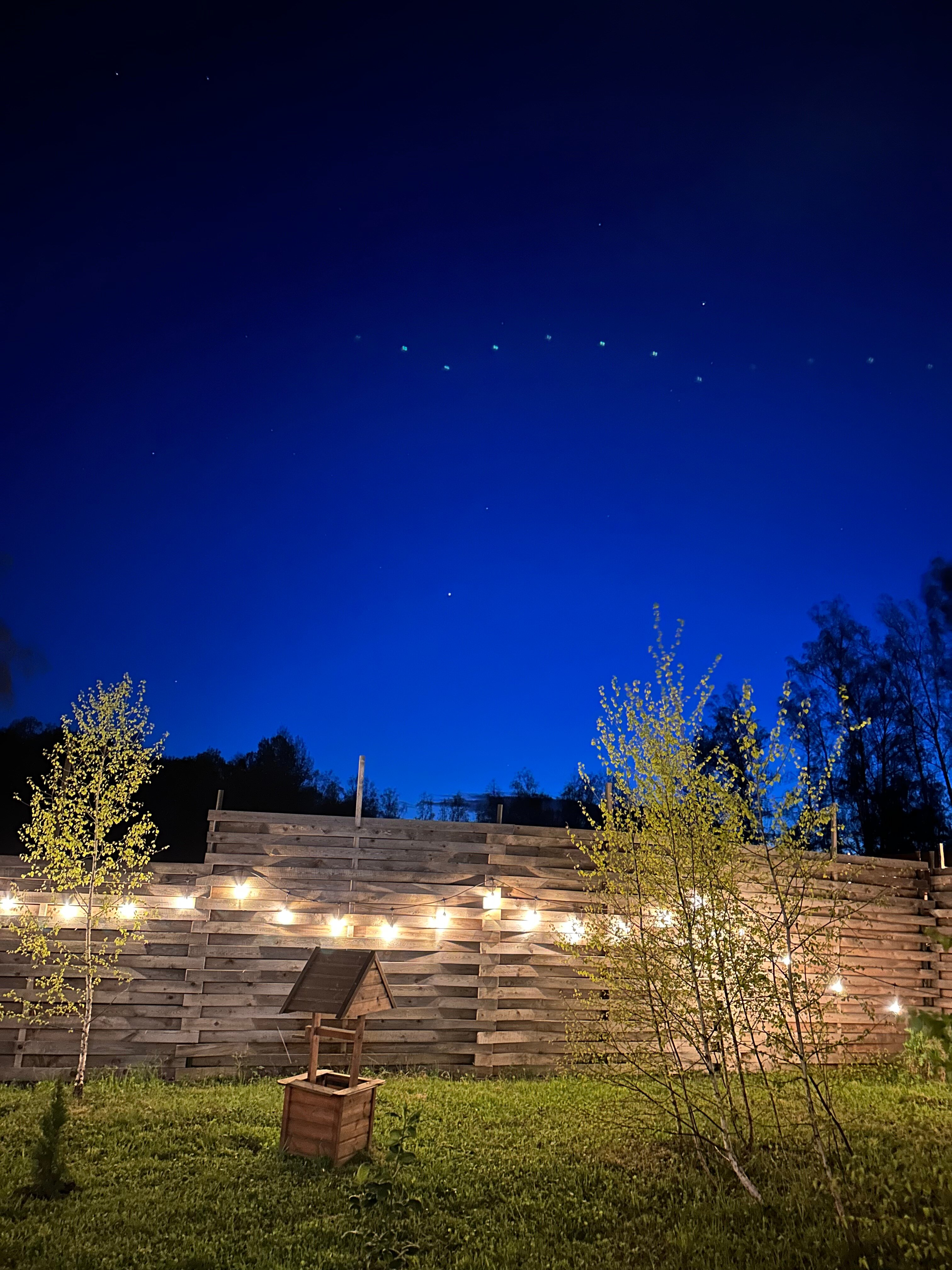 Фото Лесное Патио