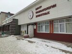 Атлант (3-y mikrorayon, ulitsa Putilova, 7В), clínica veterinaria