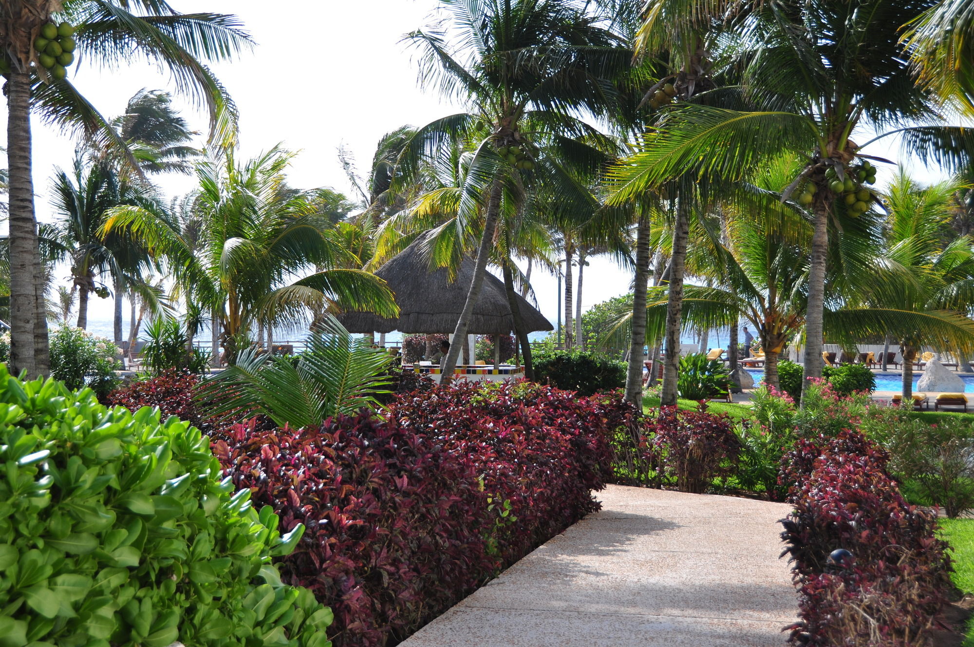 Фото Oasis Cancun Lite