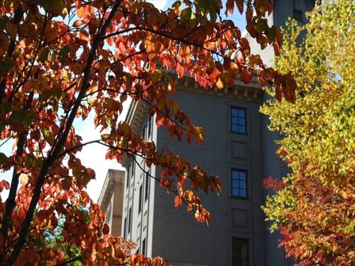 Фото Hotel Keyaki no Ki