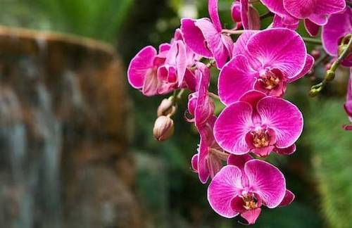 Фото Marina 10 boutique&design hotel