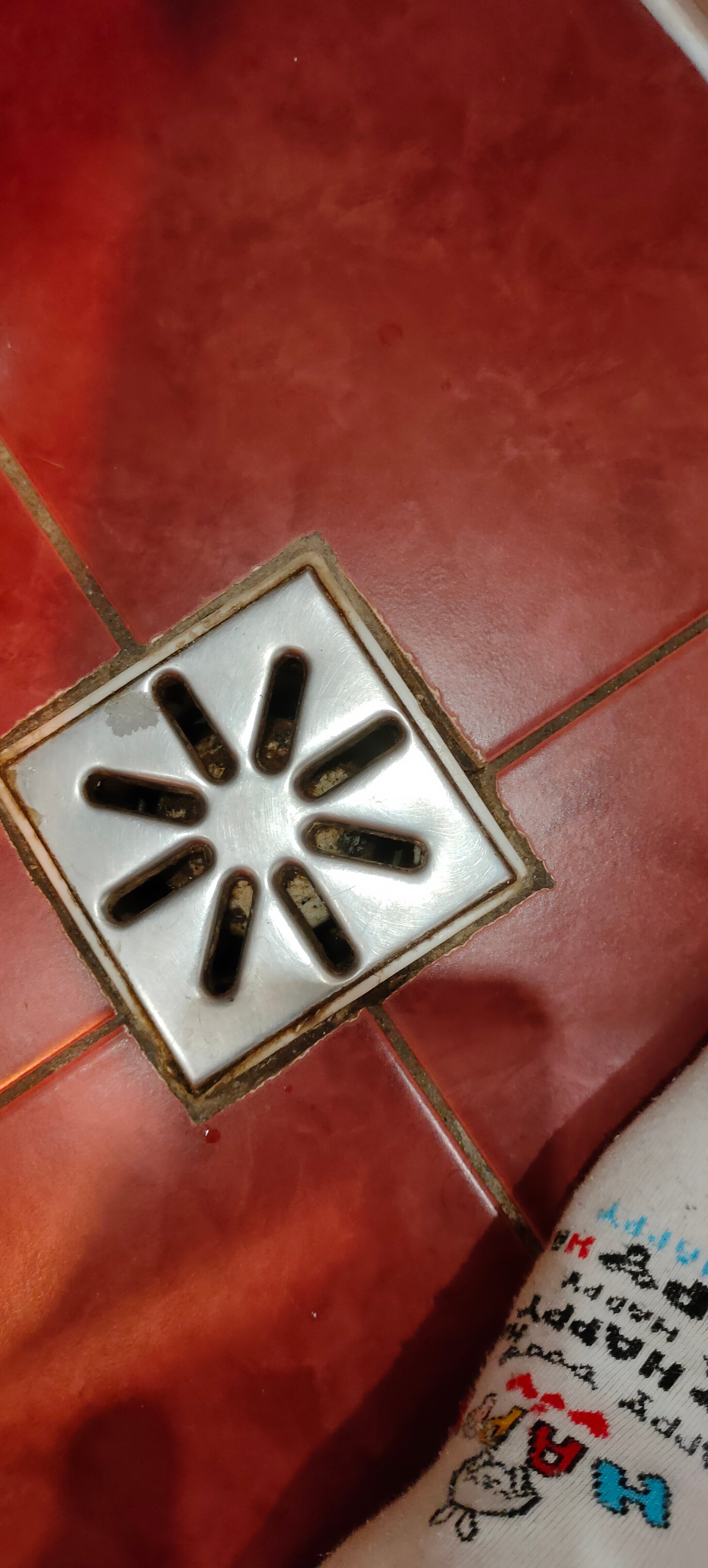 Фото Спортивная