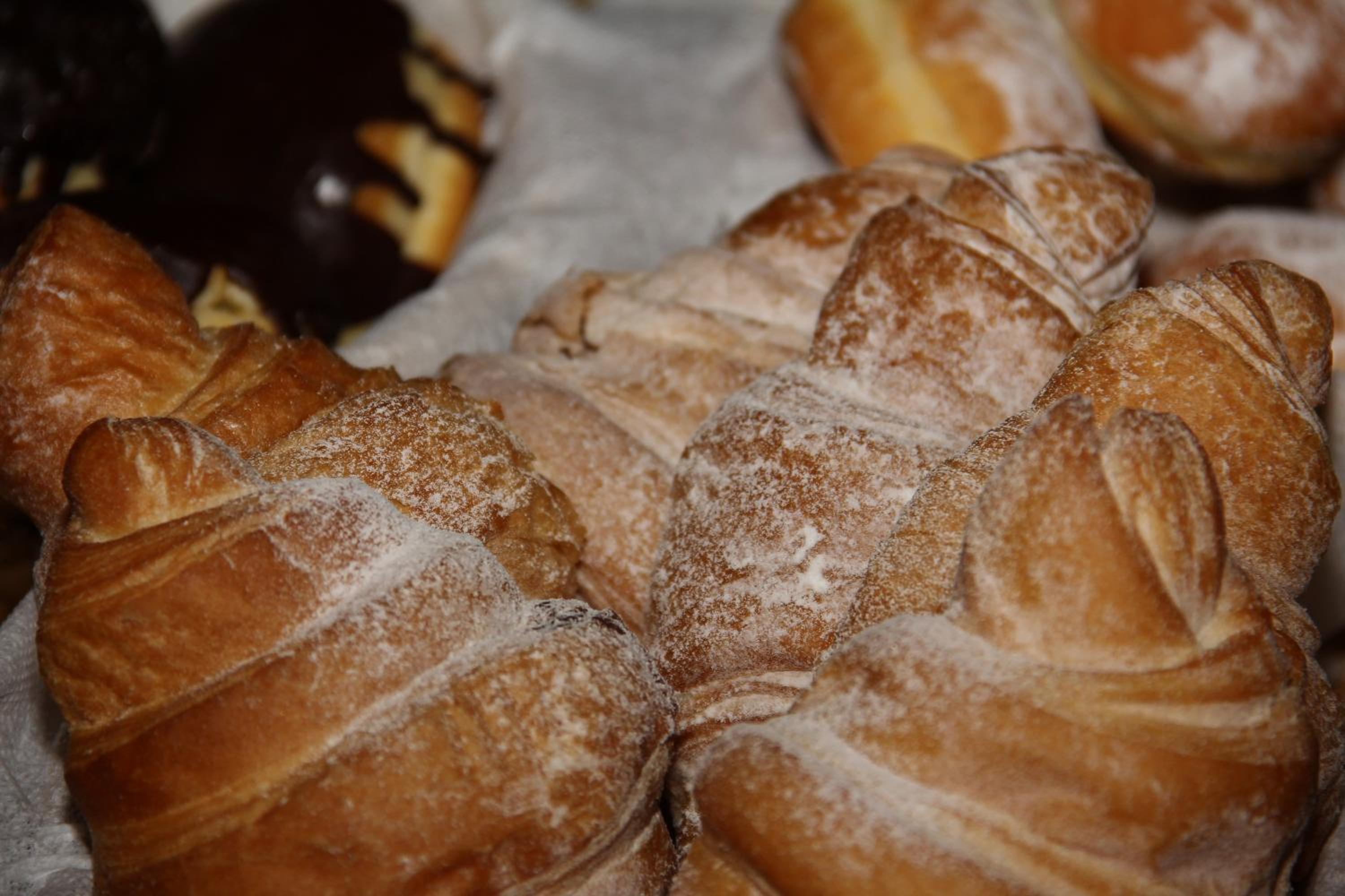 Фото Trevi Hotel