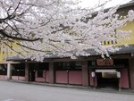 Yamanaka Onsen Ohanami Kyubei