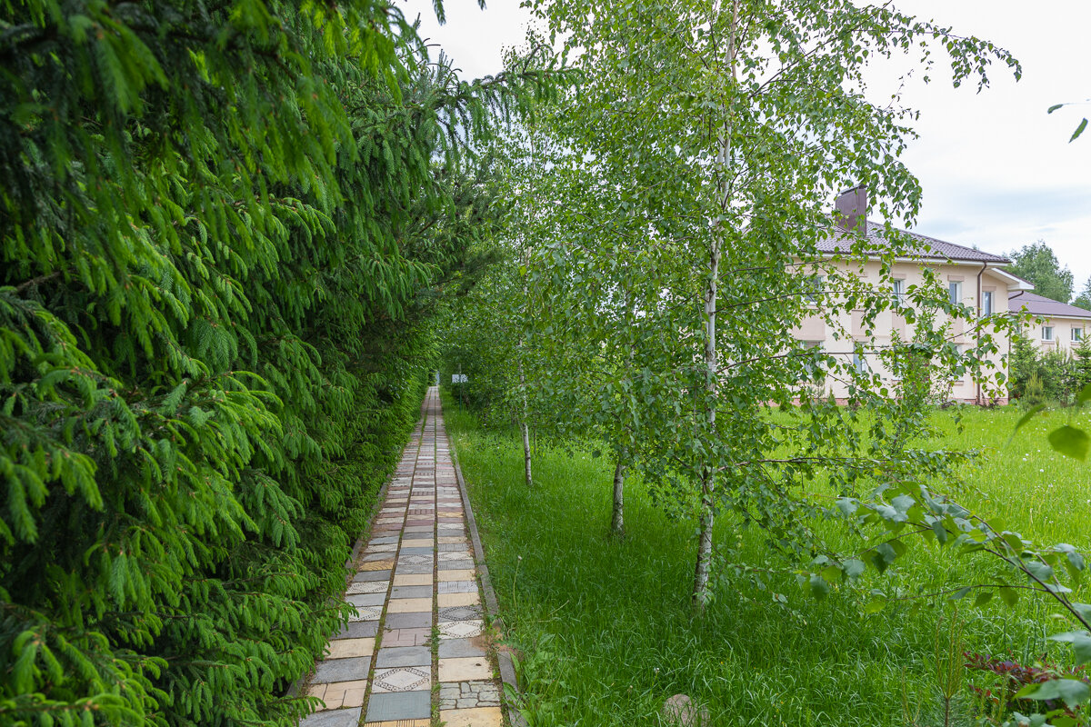 Фото Алирико