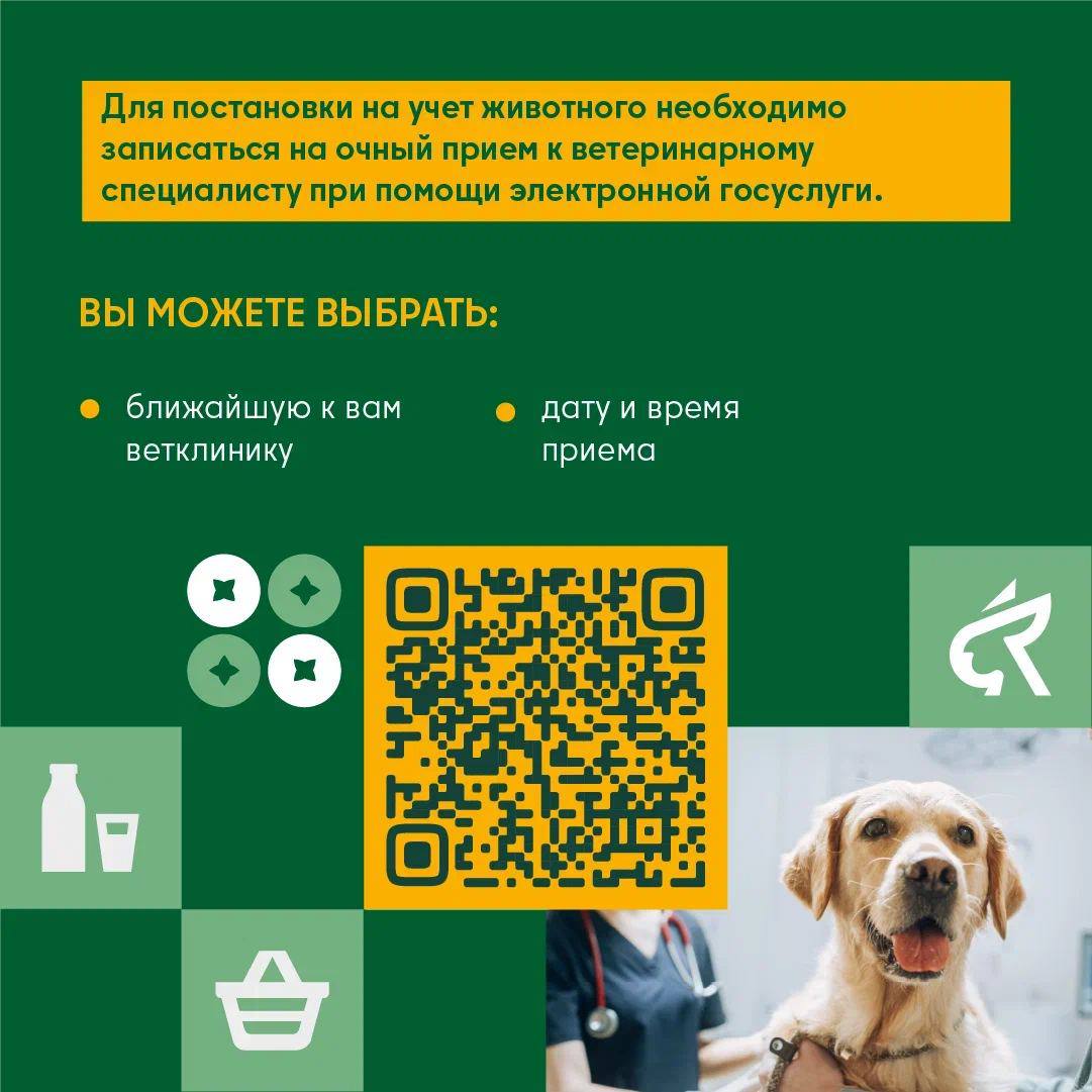 Мытищинская ветеринарная станция - фото 2