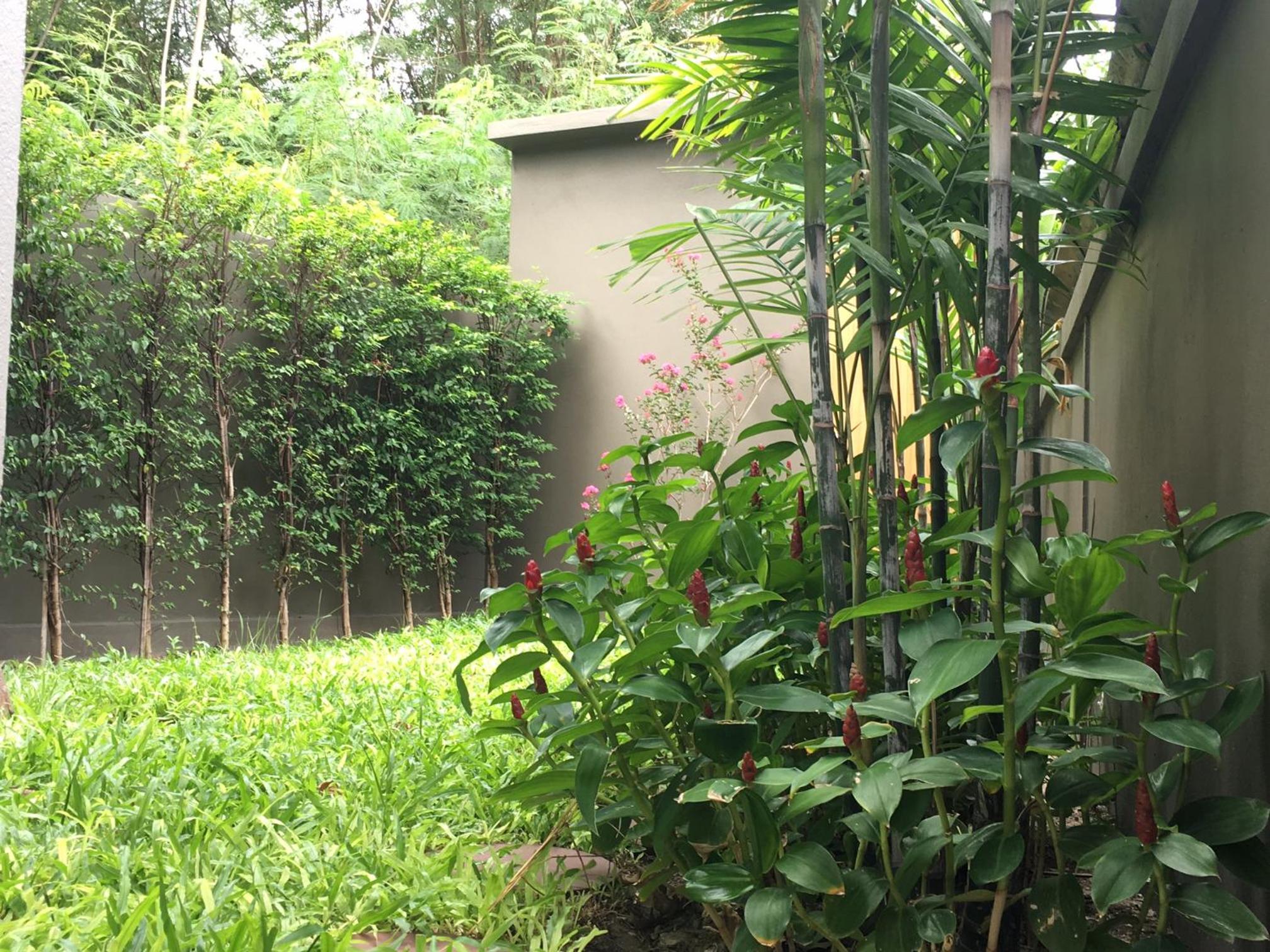 Фото Tandeaw View