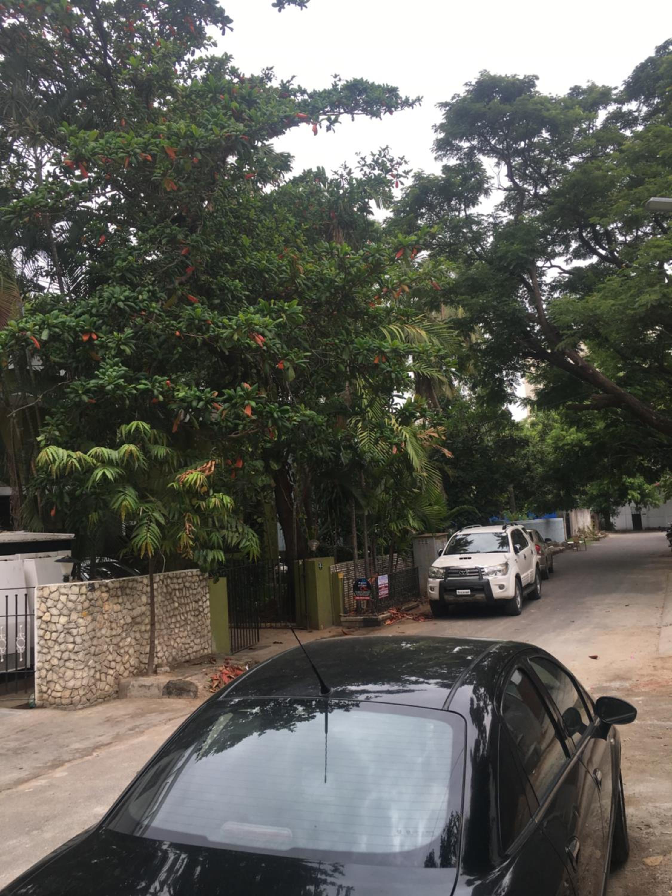 Фото Avenue 11 Boutique Residences