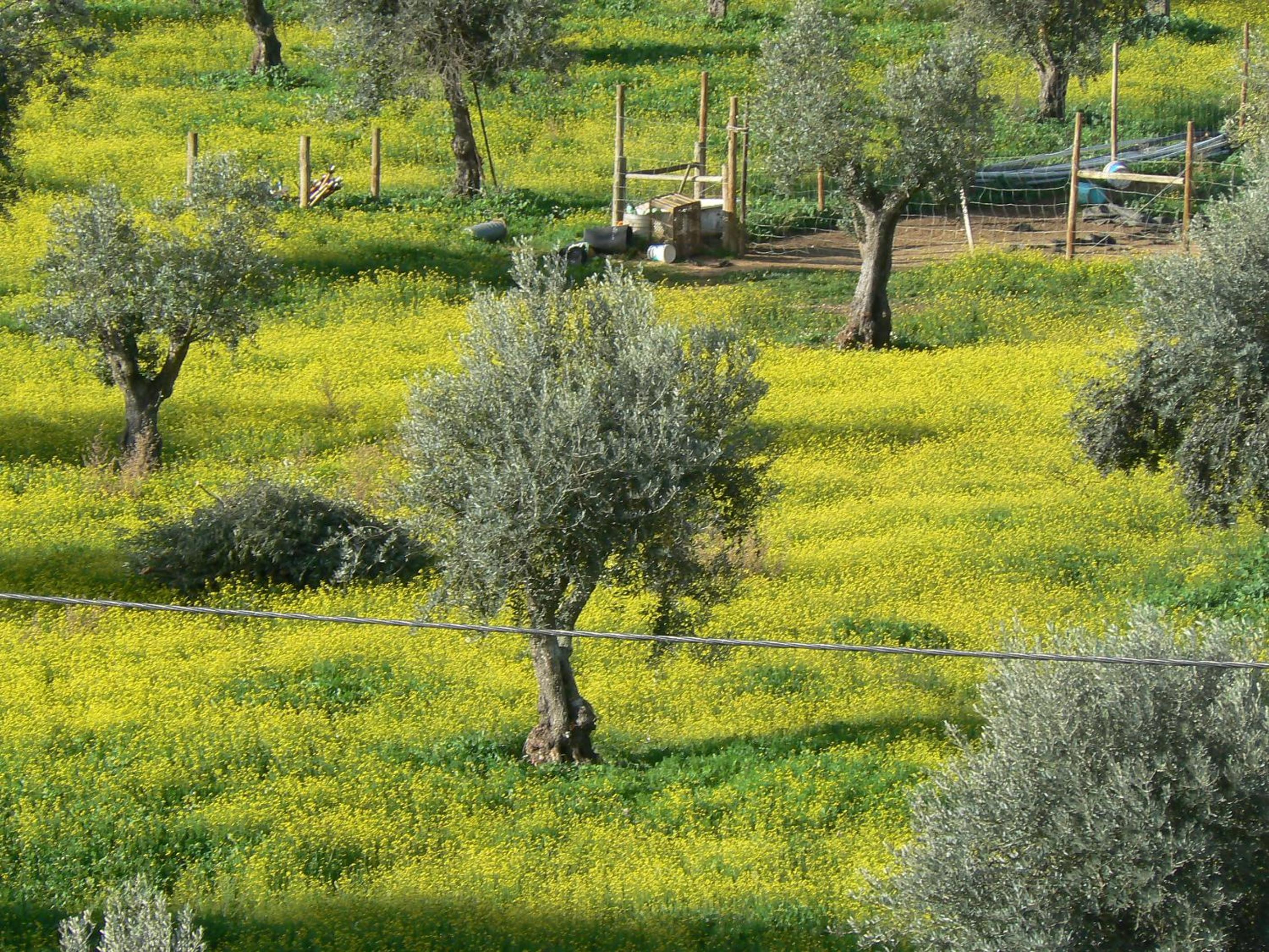Фото Graça Hotel