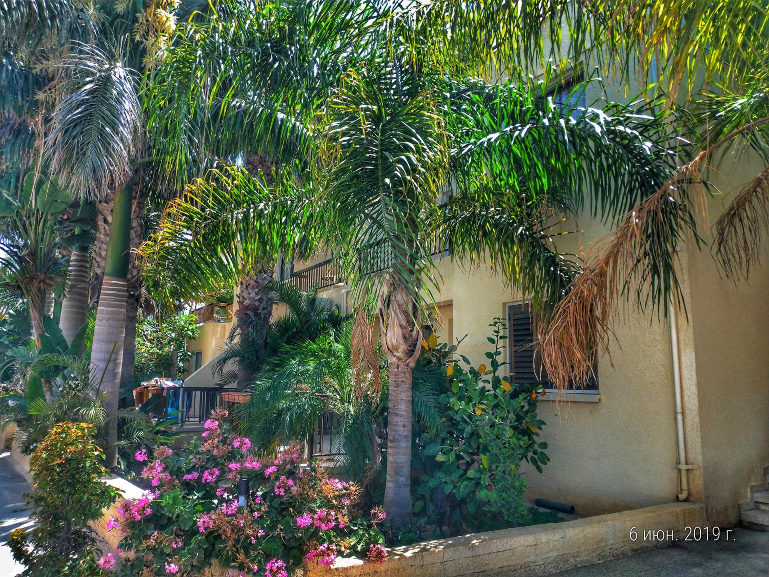 Фото Constantaras Apartments