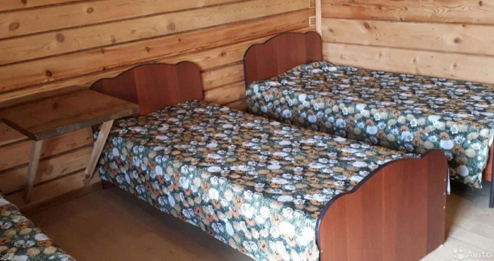 Фото Ромашка