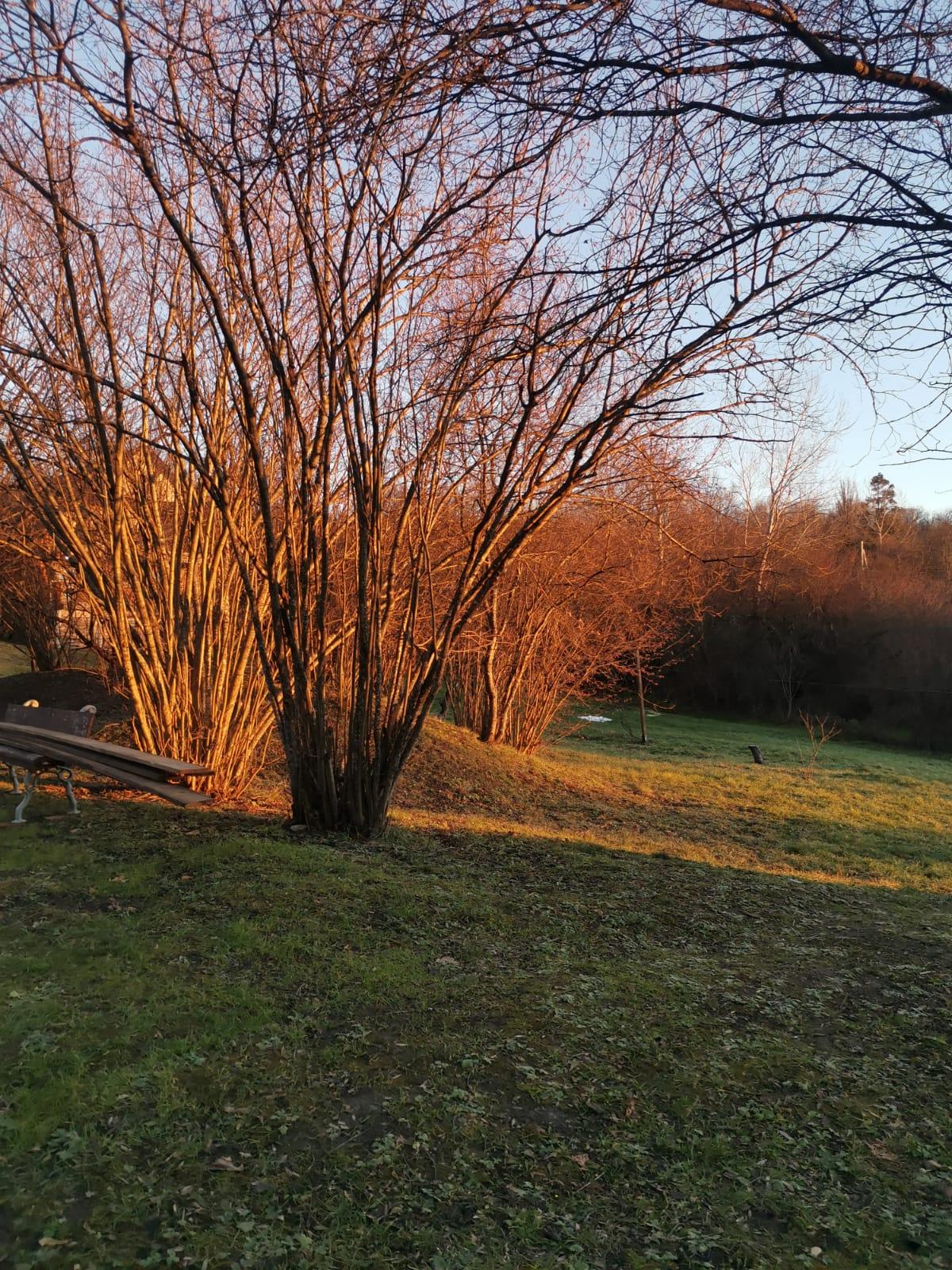 Фото Грушевая вода