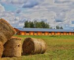 Rustic Products. Andreevskaya Wasteland (Tver Region, Konakovskiy District, Yuryevo-Devichyevskoye Rural Municipality), agricultural enterprise