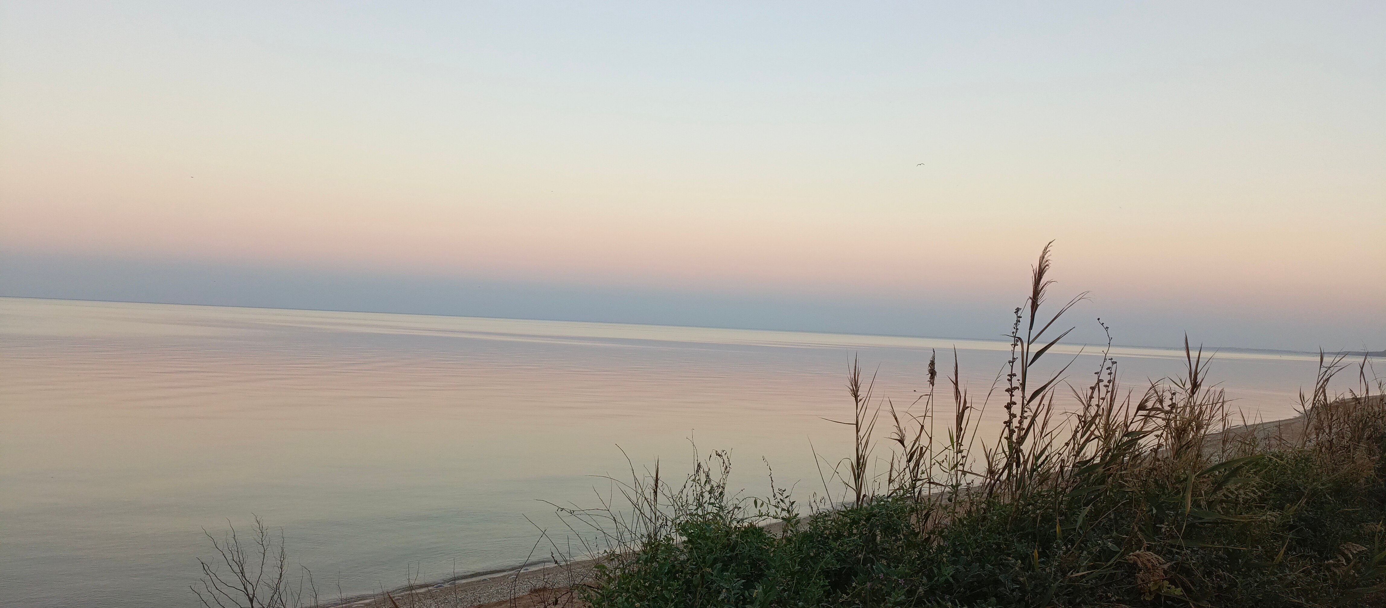 Фото Касабланка