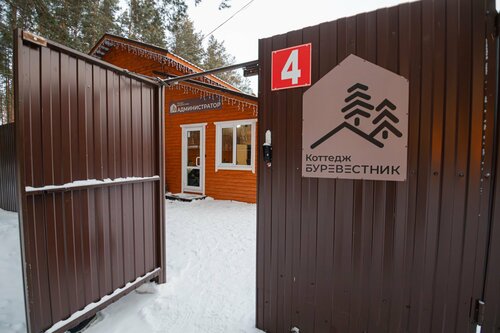 Буревестник — фото 3