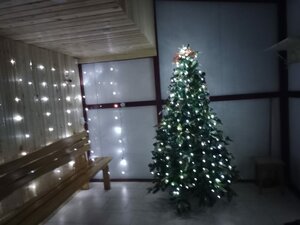 Замечательный дом! Баня, бассейн, тепло уютно, 14 спальных мест в Арсеньеве