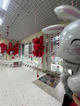 Белый Кролик (Plastunskaya Street, 123Ак3) ، مركز تنمية الأطفال